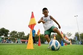 湖人黄蜂浓眉詹姆斯